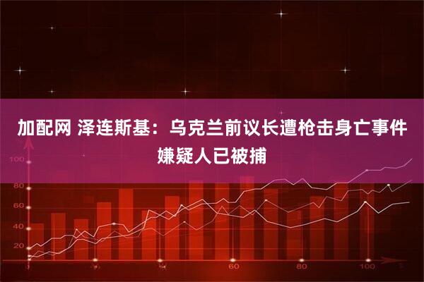 加配网 泽连斯基：乌克兰前议长遭枪击身亡事件嫌疑人已被捕